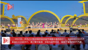全国农民文化艺术展演在长沙县举行