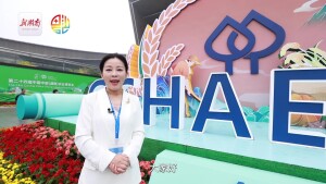 农博&ldquo;食&rdquo;评① | 预制菜如何炒出&ldquo;烟火气&rdquo;