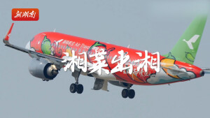 第十八届中国湘菜美食文化节｜十八芳华，湘菜京艳！