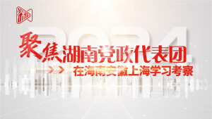 向海南学什么｜王庭恺：&ldquo;借港出海&rdquo;，湘琼合作机遇无限