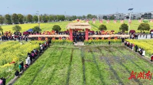 【赶分社】春分开耕：万象“耕”新 又兴一年计