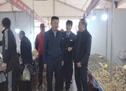 黄力调研赶分社交易市场等相关工作情况