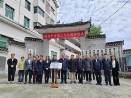 凤凰：中药材产业专家工作站揭牌成立