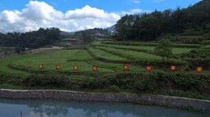 凤凰县新场镇：下好富民产业棋 铺就乡村振兴路