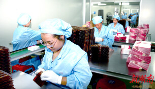 岳阳经开区：向绿 向数 向高端