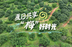 视频丨夏日共享“梅”好时光