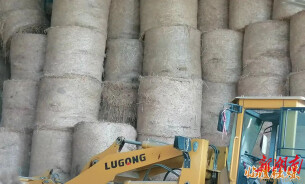 临澧县刻木山乡政协委员助推秸秆综合利用落地见效