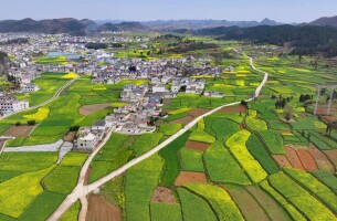 理论·新论 | 推进乡村全面振兴，实现高质量发展