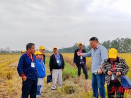 沅江市残疾人联合会：农村实用技术培训助残疾人就业增收