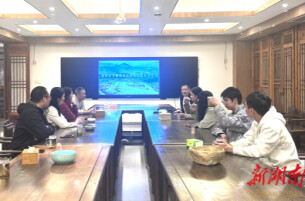 多级专家联动调研 助力岳阳黄茶种质资源保护与产业升级