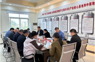 驻云溪区省人大代表开展代表小组活动