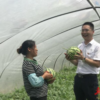 金融活水润沃野：攸县农商行破解乡土金融困局的振兴之路