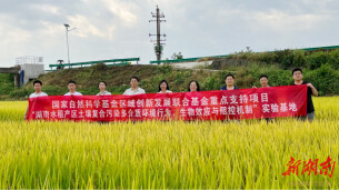 湘大李峰教授课题组在国际权威期刊发表最新研究成果