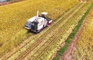 华容“人水和谐共生”探改革新路