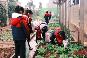 期末考试去“三味蔬屋”：写在大地上的答卷