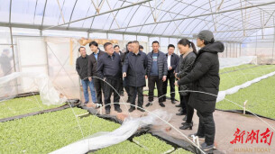 南华大学校领导赴郴州市安仁县长潭村调研乡村振兴工作