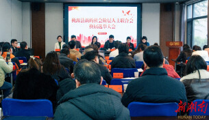 凝心聚“新”！桃源县举行新的社会阶层人士联合会换届大会