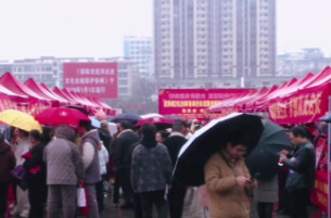 线上线下联动  武冈“春风行动”打通就业服务双通道