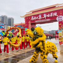 湖南日报｜茶陵2026非遗年货购物月启幕