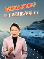 明年起，隐藏式车门把手将退出市场！