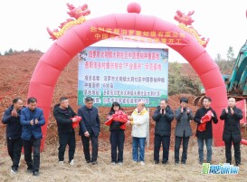 从广西到湖南，香柚产业为何选中汨罗大荆这片山？