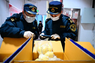 Hunan Imports Frozen Fruits Through China-Laos Freight Train Service