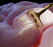 中国团队研制新型可拉伸柔性电极，破解脑机接口核心难题