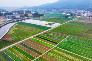 田间地头春意浓