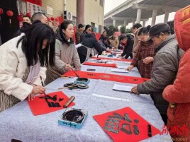 临湘市桃林镇：多元活动迎春节，禁燃禁放记心间