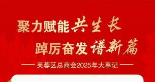 海报｜芙蓉区总商会2025年大事记
