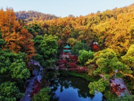 三重用心礼遇 岳麓山带你解锁地道湖湘年味