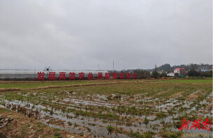 新春送暖助农兴 农担倾情护春耕    ——湖南农担长沙市分公司开展“春风行动”走访活动