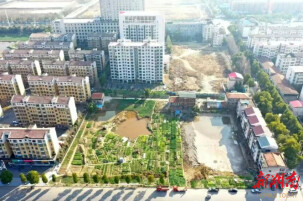 城乡融合破局起势 君山书写高质量发展答卷