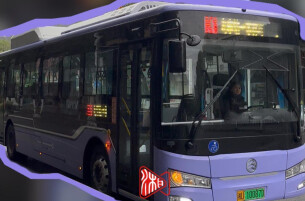 快！～紫色定制公交来了！