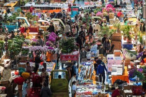 年宵花热销，鲜花消费何以“一路芬芳”