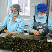 湖南日报要闻︱“资阳味道”一年卖出超百亿！看益阳市资阳区休闲食品行业“老树”如何发“新芽”