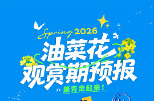 花期有信！长沙发布8大「油菜花胜地」观赏期预报
