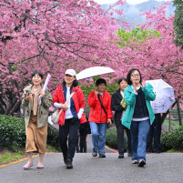 经参特稿丨破局　谋局　开局——从三个维度看当前中国经济