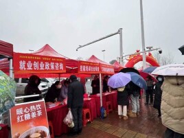 春风送岗暖民心 就业帮扶显担当——岳塘区“职聚莲城”双马专场招聘会助群众重拾就业信心