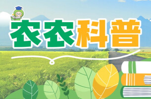 农农科普 | 草莓正当“食”！这些谣言不可信！