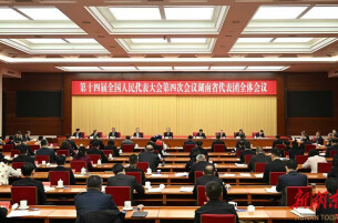 湖南代表团举行第二次全体会议