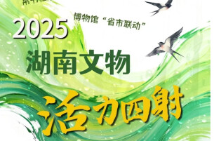 帛书归湘、博物馆“省市联动”、“四普”，2025湖南文物活力四射