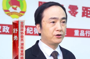 全国政协委员舒勇：支持湖南打造新大众文艺国际传播新高地