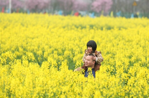 People Enjoy Weekend Amid Blooming Canola Flowers