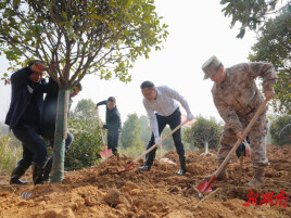 岳阳楼区开展2026年义务植树活动