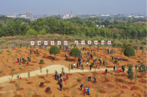 从“栽下一棵树”到“育好一片林” ——湖南绿化提质绘就生态新图景