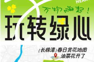 长株潭绿心的油菜花开了！