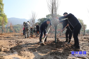 资兴：植绿添绿兴生态 扮靓家园助旅发