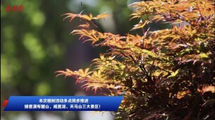 岳麓山风景名胜区开展2026年植树节主题活动