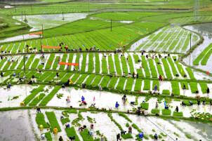 建行助力春耕备耕 奏响“奋进曲”